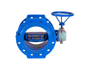 Read more about the article Butterfly Valve with Bi-Plane Disc (BEF)