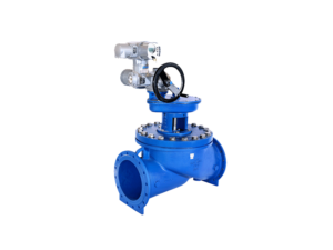 Read more about the article Globe Valve (CGF)