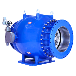 Needle Valve with Standard Type Ring (CNF)