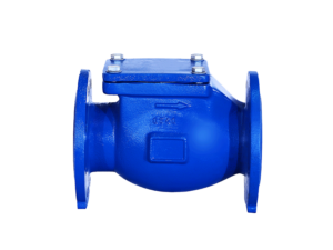 Read more about the article Swing Check Valve (NSF)